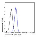 SLC6A4 Chimeric Antibody in Flow Cytometry (Flow)