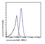 NK1.1 Chimeric Recombinant Rabbit Monoclonal Antibody (PK-136)