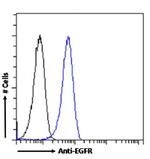 EGFR (Zalutumumab Biosimilar) Antibody in Flow Cytometry (Flow)