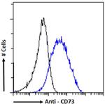CD73 Chimeric Antibody in Flow Cytometry (Flow)