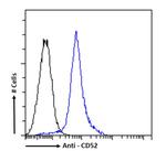 CD52 Chimeric Antibody in Flow Cytometry (Flow)