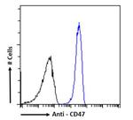 CD47 Chimeric Antibody in Flow Cytometry (Flow)