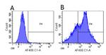 CD38 Chimeric Antibody in Flow Cytometry (Flow)