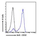 CD32 Recombinant Mouse Monoclonal Antibody (MDE-8)