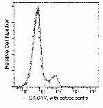 CD56 Antibody in Flow Cytometry (Flow)