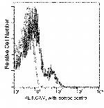 CD56 Antibody in Flow Cytometry (Flow)