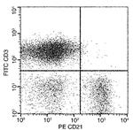 CD21 Recombinant Rabbit Monoclonal Antibody (257), PE