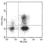 IFN gamma Antibody in Flow Cytometry (Flow)