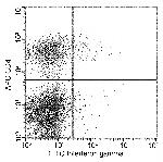 IFN gamma Antibody in Flow Cytometry (Flow)