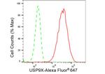 USP9X Antibody in Flow Cytometry (Flow)