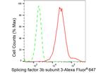 SF3B3 Antibody in Flow Cytometry (Flow)