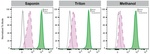 Mgea5 Antibody in Flow Cytometry (Flow)