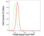 FosB Antibody in Flow Cytometry (Flow)