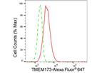 STING Antibody in Flow Cytometry (Flow)