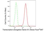 TCEA1 Antibody in Flow Cytometry (Flow)