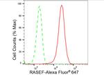 RASEF Antibody in Flow Cytometry (Flow)