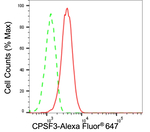 CPSF3 Antibody in Flow Cytometry (Flow)