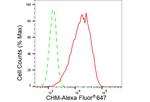 CHM Antibody in Flow Cytometry (Flow)