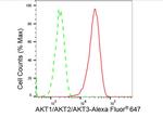 AKT Pan Antibody in Flow Cytometry (Flow)