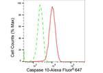 Caspase 10 Antibody in Flow Cytometry (Flow)