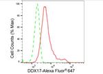 DDX17 Antibody in Flow Cytometry (Flow)