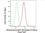 RSK2 Antibody in Flow Cytometry (Flow)