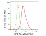 XPD Antibody in Flow Cytometry (Flow)