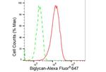 Biglycan Antibody in Flow Cytometry (Flow)