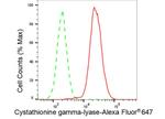 CTH Antibody in Flow Cytometry (Flow)