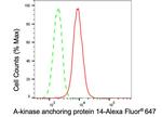 AKAP14 Antibody in Flow Cytometry (Flow)