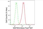 MEKK4 Antibody in Flow Cytometry (Flow)