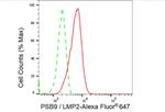 PSMB9 Antibody in Flow Cytometry (Flow)