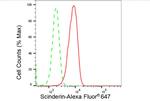 SCIN Antibody in Flow Cytometry (Flow)