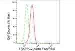 TRAPPC2 Antibody in Flow Cytometry (Flow)