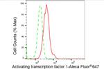 ATF1 Antibody in Flow Cytometry (Flow)