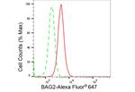 BAG2 Antibody in Flow Cytometry (Flow)