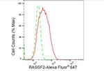 RASSF2 Antibody in Flow Cytometry (Flow)