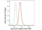 CTR1 Antibody in Flow Cytometry (Flow)