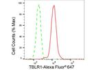 TBLR1 Antibody in Flow Cytometry (Flow)