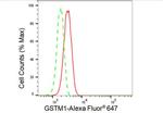 GSTM1 Antibody in Flow Cytometry (Flow)