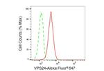 CHMP3 Antibody in Flow Cytometry (Flow)