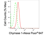 Mast Cell Chymase Antibody in Flow Cytometry (Flow)