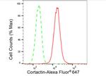 Cortactin Antibody in Flow Cytometry (Flow)