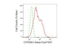CYP26A1 Antibody in Flow Cytometry (Flow)