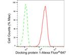 DOK1 Antibody in Flow Cytometry (Flow)
