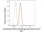 DPYD Antibody in Flow Cytometry (Flow)