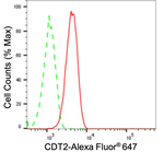 DTL Antibody in Flow Cytometry (Flow)