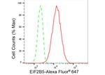 eIF2b epsilon Antibody in Flow Cytometry (Flow)