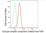 EXOC3 Antibody in Flow Cytometry (Flow)
