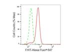 FHIT Antibody in Flow Cytometry (Flow)